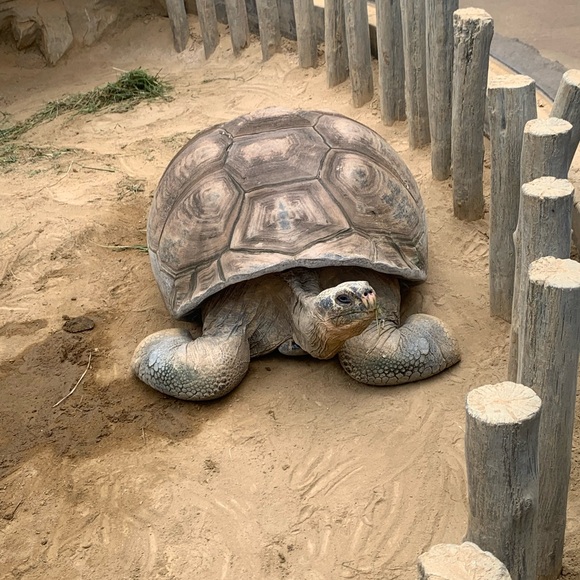 Come shop my closet for Christmas gifts! SALE SALE SALE - Picture 2 of 2